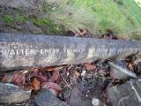 image of grave number 371875